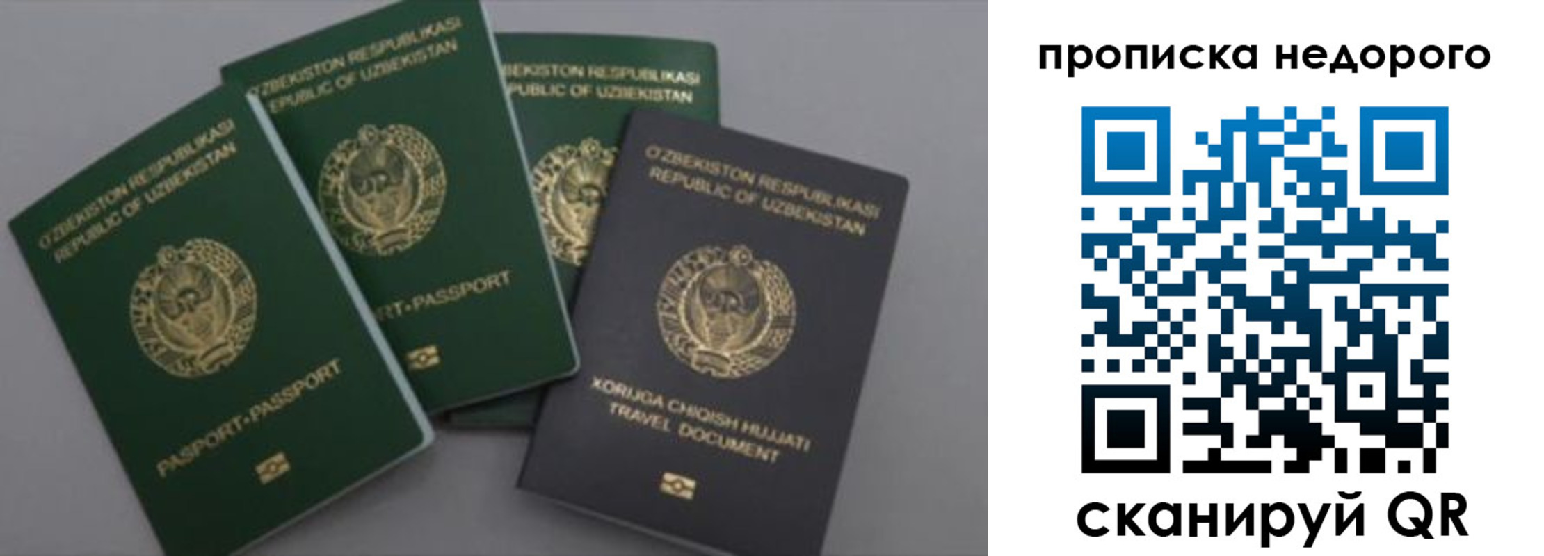 регистрация для школы в Новодвинске